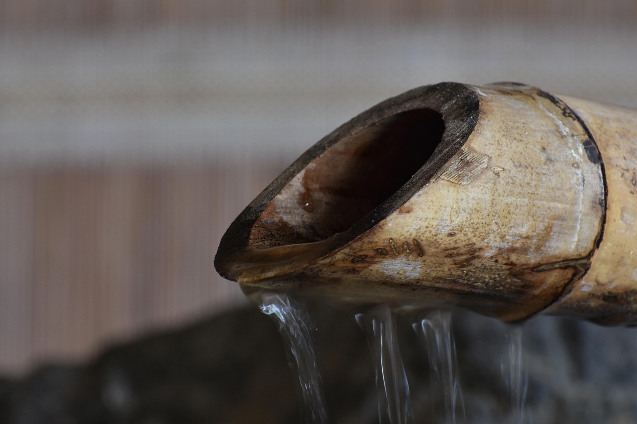 电子券代理平台